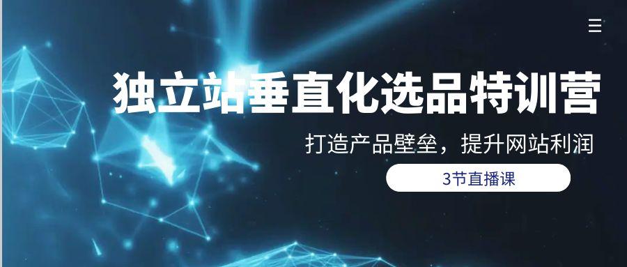 (9925期)独立站-垂直化选品训练营，打造产品壁垒，提升网站利润(3节直播课)-梦清网创