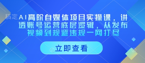 AI高阶自媒体项目实操课，讲透账号运营底层逻辑，从发布视频到规避违规一网打尽-梦清网创