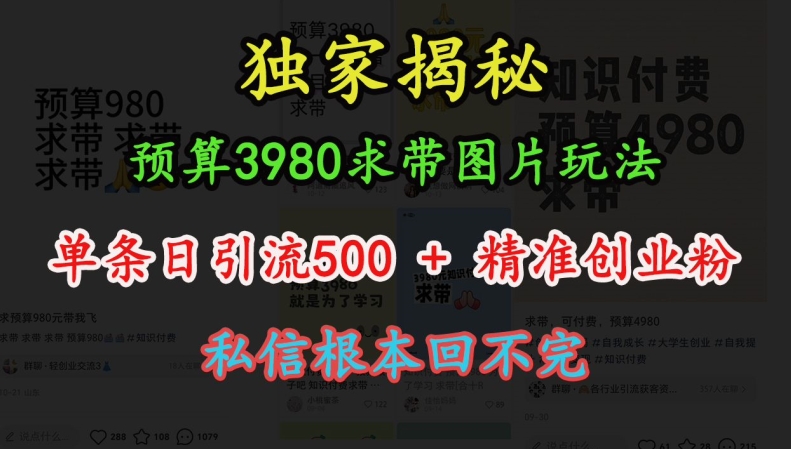 预算3980求带 图片玩法，单条日引流500+精准创业粉，私信根本回不完-梦清网创