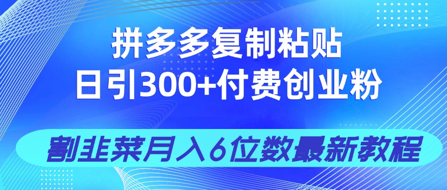拼多多复制粘贴日引300+付费创业粉，割韭菜月入6位数最新教程！-梦清网创