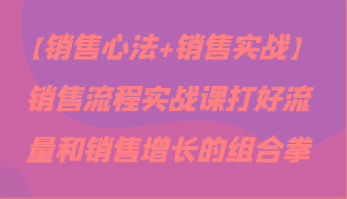 【销售心法+销售实战】销售流程实战课打好流量和销售增长的组合拳-梦清网创