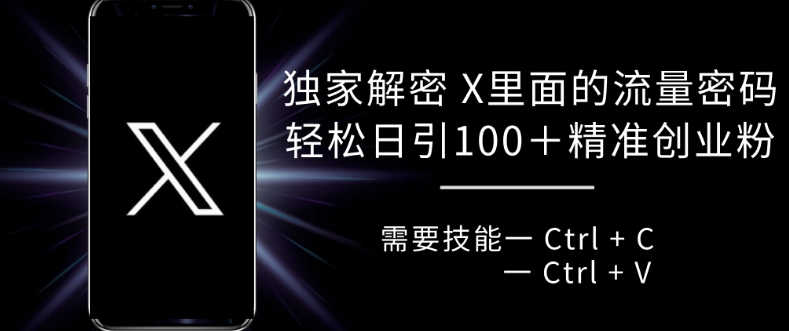 独家解密 X 里面的流量密码，复制粘贴轻松日引100+-梦清网创