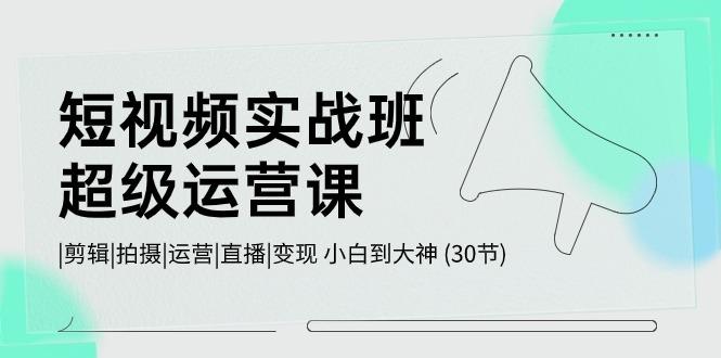 短视频实战班超级运营课 |剪辑|拍摄|运营|直播|变现 小白到大神 (30节)-梦清网创