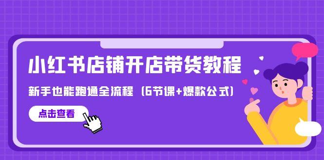 (9883期)最新小红书店铺开店带货教程，新手也能跑通全流程(6节课+爆款公式)-梦清网创