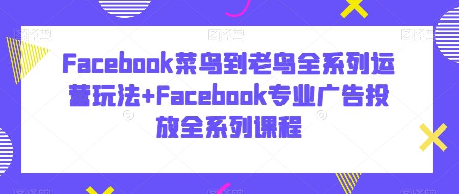 Facebook菜鸟到老鸟全系列运营玩法+Facebook专业广告投放全系列课程-梦清网创