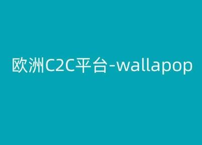 欧洲C2C平台-wallapop-kim跨境电商教程-梦清网创