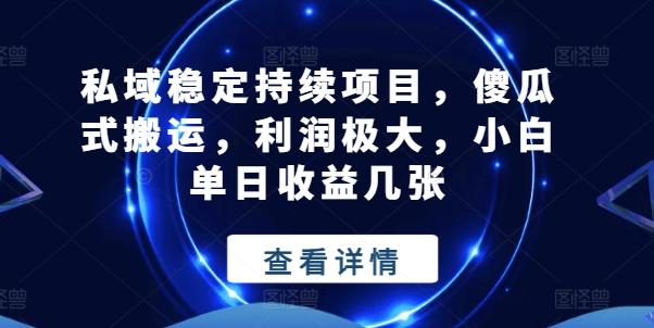 私域稳定持续项目，傻瓜式搬运，利润极大，小白单日收益几张【揭秘】-梦清网创