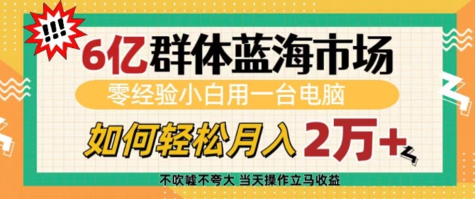 6亿群体蓝海市场，零经验小白用一台电脑，如何轻松月入过w【揭秘】-梦清网创