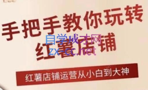 海燕老师·2024手把手教你玩转红薯店铺-梦清网创