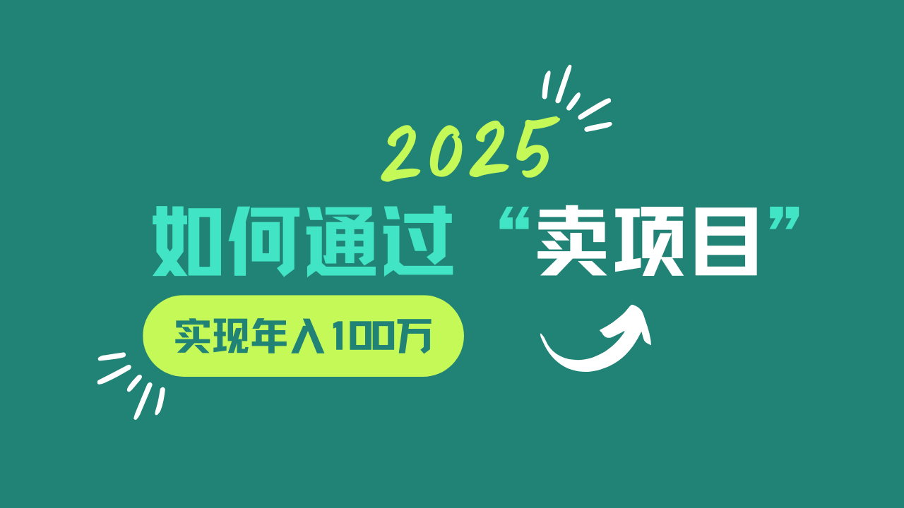 2025年如何通过“卖项目”实现年入100w-梦清网创
