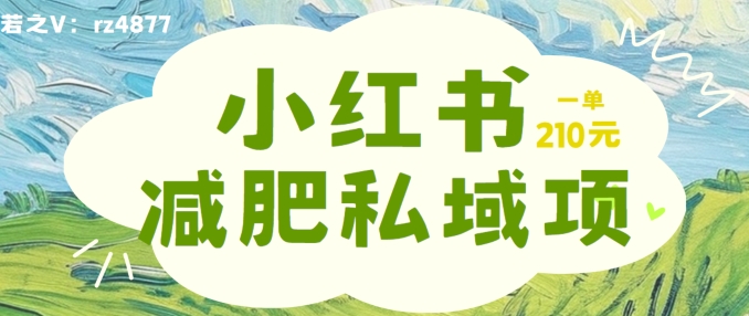 小红书减肥粉，私域变现项目，一单就达210元，小白也能轻松上手【揭秘】-梦清网创