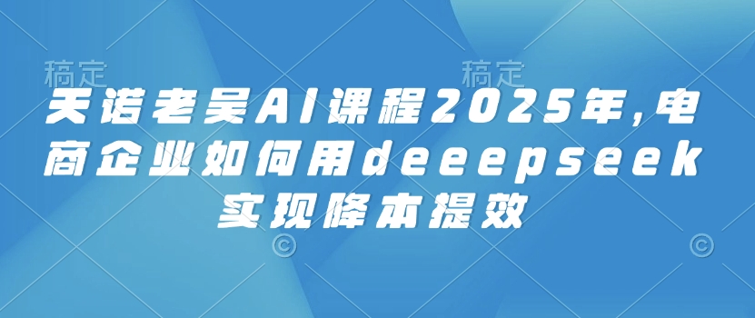 天诺老吴AI课程2025年，电商企业如何用deeepseek实现降本提效-梦清网创
