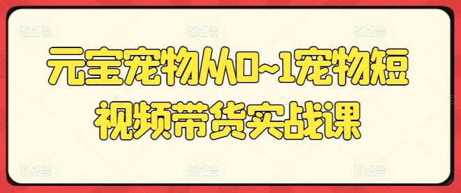 元宝宠物从0~1宠物短视频带货实战课-梦清网创