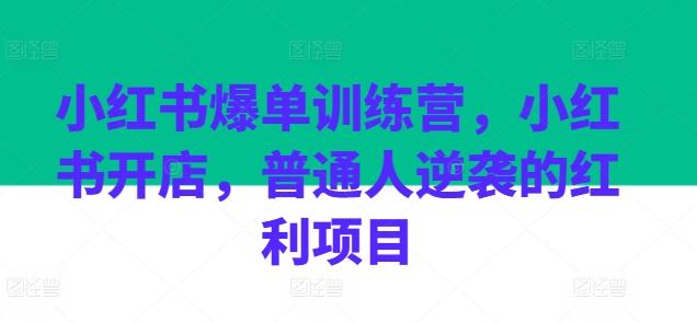 小红书爆单训练营，小红书开店，普通人逆袭的红利项目-梦清网创