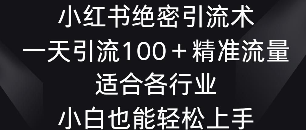 小红书绝密引流术，一天引流100+精准流量，适合各个行业，小白也能轻松上手【揭秘】-梦清网创