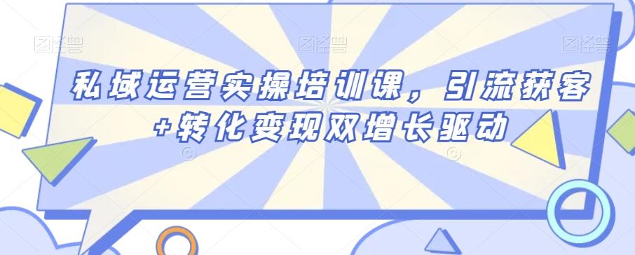私域运营实操培训课，引流获客+转化变现双增长驱动-梦清网创