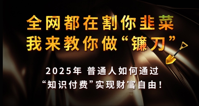 全网都在割你韭菜，我来教你做镰刀，2025年普通人如何通过 知识付费 实现财F自由【揭秘】-梦清网创