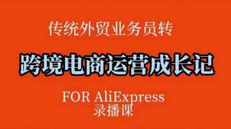 跨境电商速卖通运营课，​运营方法论+后台实操，逻辑清晰-梦清网创