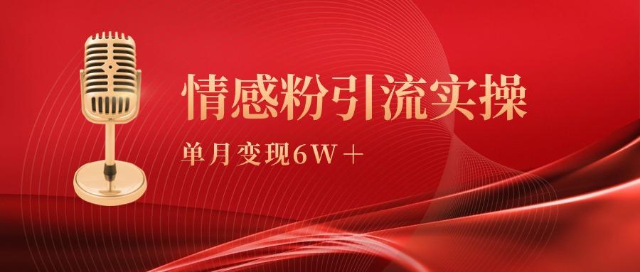 (9473期)单月变现6w+，情感粉引流变现实操课-梦清网创