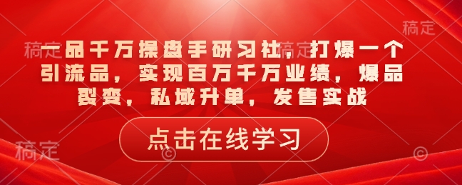 一品千万操盘手研习社，打爆一个引流品，实现百万千万业绩，爆品裂变，私域升单，发售实战-梦清网创