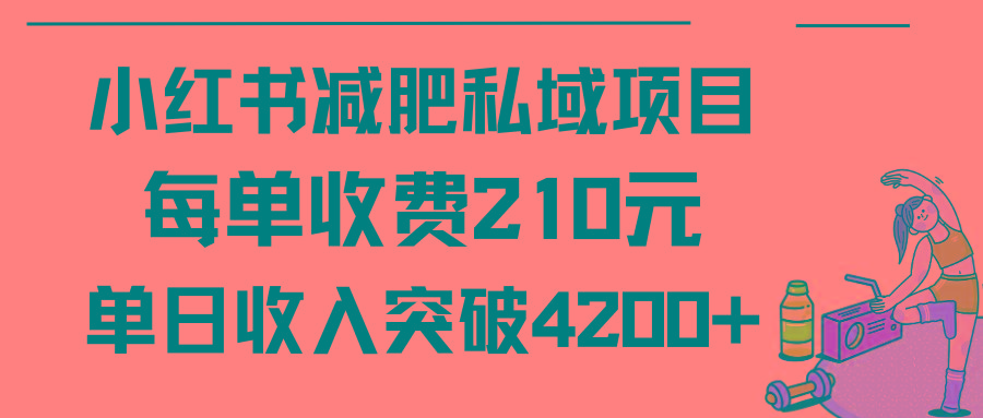 (9466期)小红书减肥私域项目每单收费210元单日成交20单，最高日入4200+-梦清网创