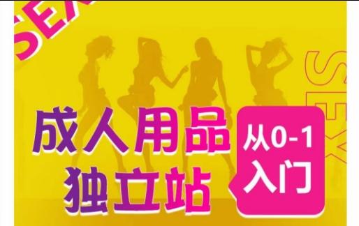 成人用品独立站从0-1入门，成品独立站运营全流程教学，七大好卖成品独立站推荐-梦清网创