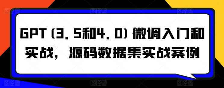 GPT(3.5和4.0)微调入门和实战，源码数据集实战案例-梦清网创