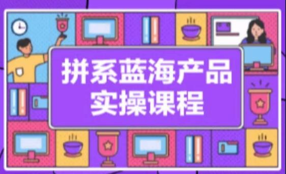 拼系冷门蓝海产品实操课程，从注册店铺到选品上架到流量维护环环相扣-梦清网创