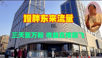 蹭胖东来流量，三天涨万粉，收益直接起飞-梦清网创