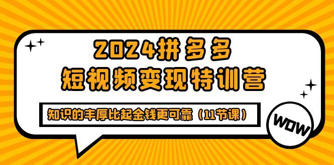 (9817期)2024拼多多短视频变现特训营，知识的丰厚比起金钱更可靠(11节课)-梦清网创