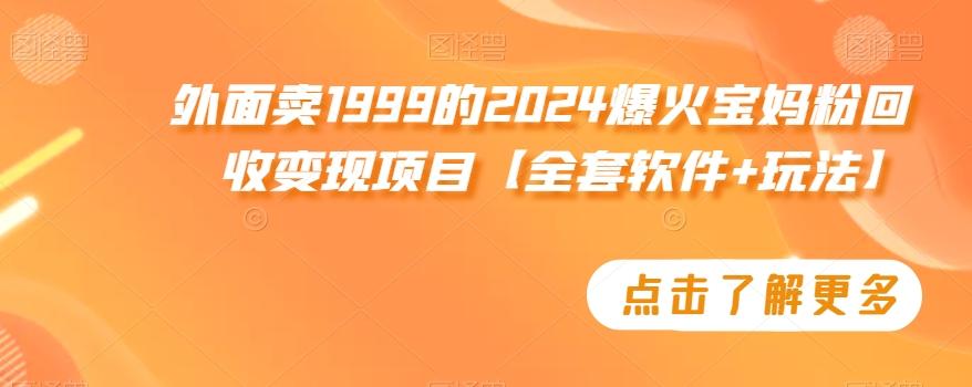 外面卖1999的2024爆火宝妈粉回收变现项目【全套软件+玩法】【揭秘】-梦清网创