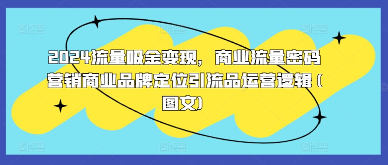 2024流量吸金变现，商业流量密码营销商业品牌定位引流品运营逻辑(图文)-梦清网创