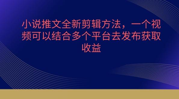 小说推文全新剪辑方法，一个视频可以结合多个平台去发布获取【揭秘】-梦清网创