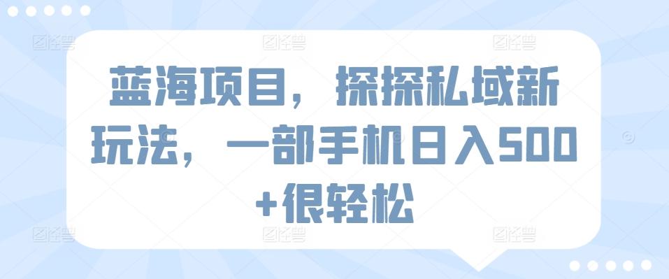 蓝海项目，探探私域新玩法，一部手机日入500+很轻松【揭秘】-梦清网创