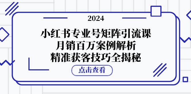 小红书专业号矩阵引流课，月销百万案例解析，精准获客技巧全揭秘-梦清网创