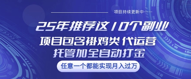 25年推荐这10个副业项目包含褂鸡类、代运营托管类、全自动打金类【揭秘】-梦清网创