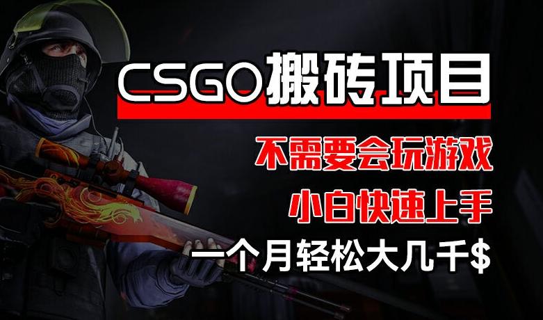 CSGO 装备搬砖项目，操作简单，不需要会玩游戏，小白也能快速上手，一个月轻松大几千【揭秘】-梦清网创