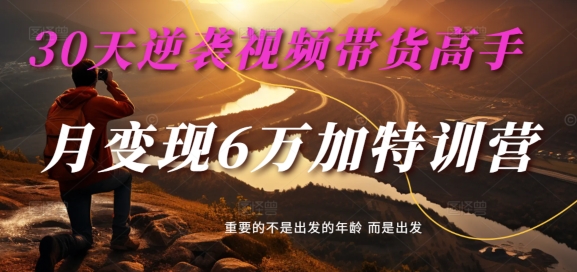 30天逆袭视频带货高手，单月变现6万加特训营-麦子甜-梦清网创