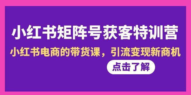 小红书-矩阵号获客特训营-第10期，小红书电商的带货课，引流变现新商机-梦清网创