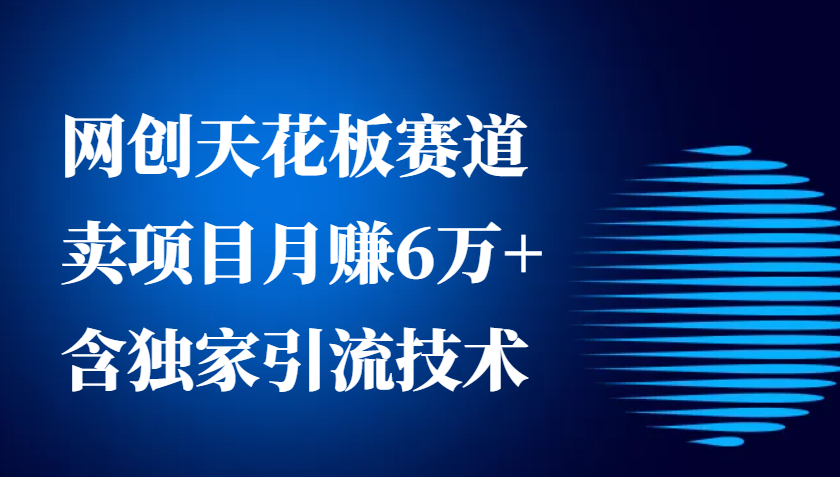 网创天花板赛道，卖项目月赚6万+，含独家引流技术(共26节课)-梦清网创