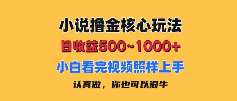 小说撸金核心玩法，日收益500-1000+，小白看完照样上手，0成本有手就行-梦清网创