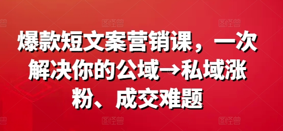 爆款短文案营销课，一次解决你的公域→私域涨粉、成交难题-梦清网创