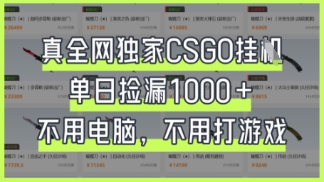 真全网独家CSGO挂G，单日捡漏1k+【揭秘】-梦清网创