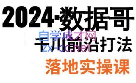 数据哥·2024年千川前沿打法落地实操课-梦清网创