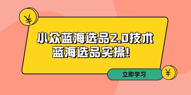拼多多培训第33期：小众蓝海选品2.0技术-蓝海选品实操！-梦清网创