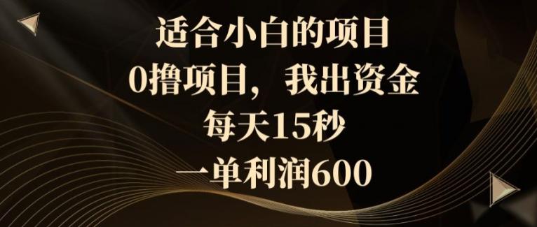 适合小白的项目，0撸项目，我出资金，每天15秒，一单利润600-梦清网创