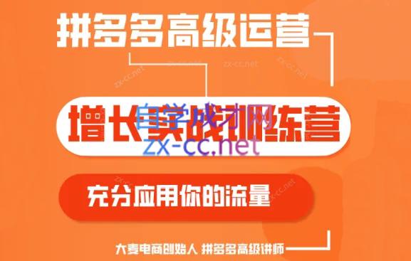 大麦老师·拼多多单品爆款打造课程(更新6月)-梦清网创