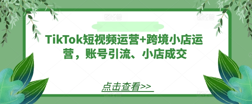 TikTok短视频运营+跨境小店运营，账号引流、小店成交-梦清网创