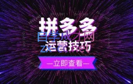 力辛电商·拼多多强付费店群玩法-梦清网创