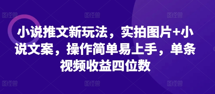 小说推文新玩法，实拍图片+小说文案，操作简单易上手，单条视频收益四位数-梦清网创